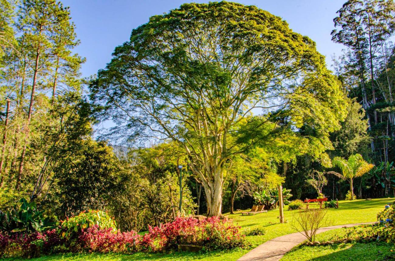 Pousada Pau Brasil Visconde de Mauá Exterior foto